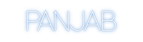 Custom Neon: PANJAB