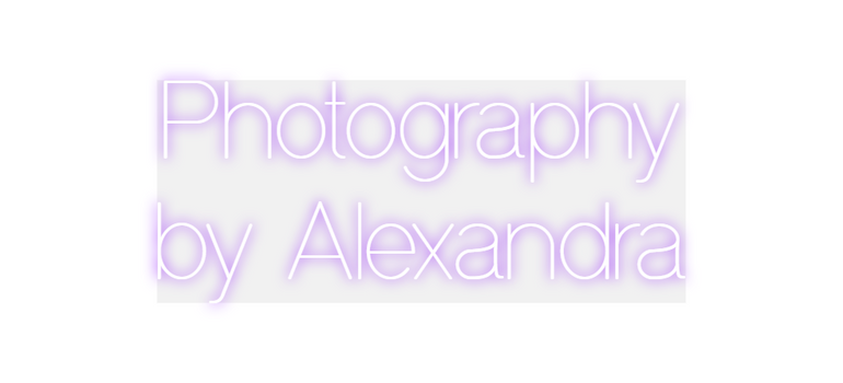 Custom Neon: Photography
b...