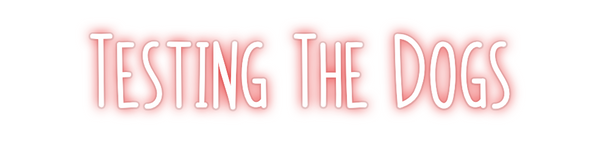 Custom Neon: Testing The D...