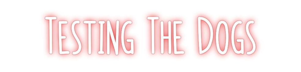 Custom Neon: Testing The D...