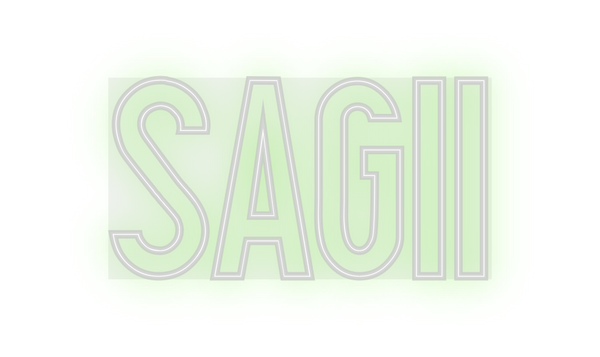 Custom Neon: SAGII