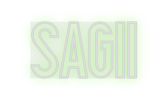 Custom Neon: SAGII